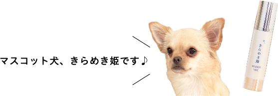 マスコット犬