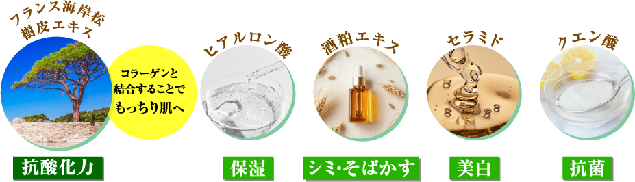 抗酸化力